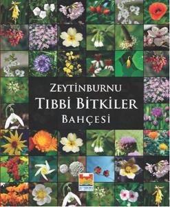 Zeytinburnu Tıbbi Bitkiler Bahçesi