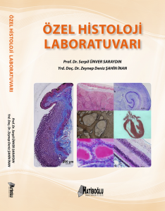Özel Histoloji Laboratuvarı