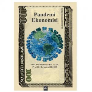 Pandemi Ekonomisi