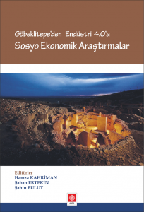 Sosyo Ekonomik Araştırmalar