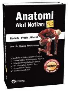 Güneş Tıp Anatomi Akıl Notları