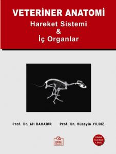 Veteriner Anatomi