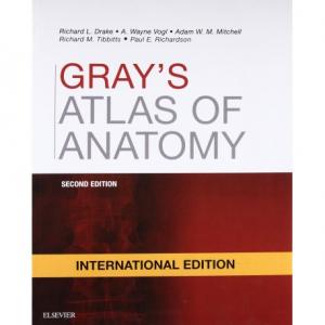 Gray's Atlas of Anatomy International Edition, 2nd Edition