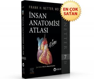 Netter İnsan Anatomisi Atlası 7. Baskı