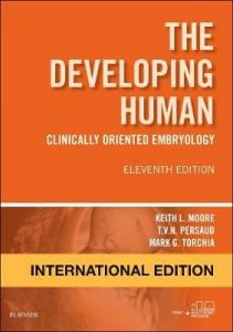 The Developing Human
