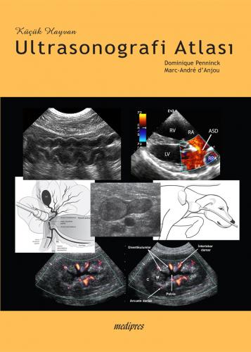 Küçük Hayvan Ultrasonografi Atlası Dominique Pennick