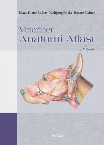 Veteriner Anatomi Atlası Köpek İbrahim Kürtül