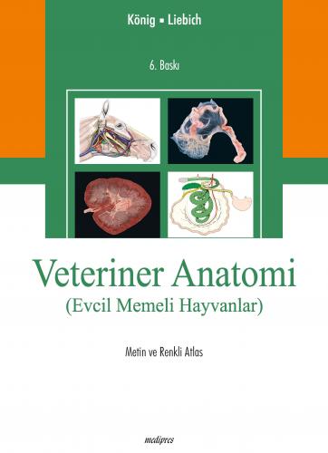 König, Veteriner Anatomi Evcil Memeli Hayvanlar -Metin ve Renkli Atlas