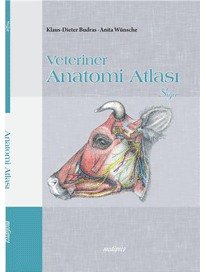 Veteriner Anatomi Atlası Sığır Komisyon