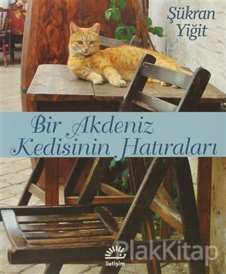 Bir Akdeniz Kedisinin Hatıraları
