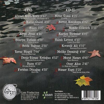 Dinle Sevgili Ülkem (2 CD) Ahmet Kaya