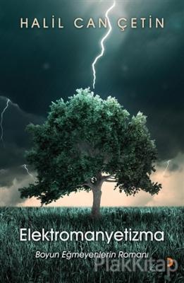 Elektromanyetizma