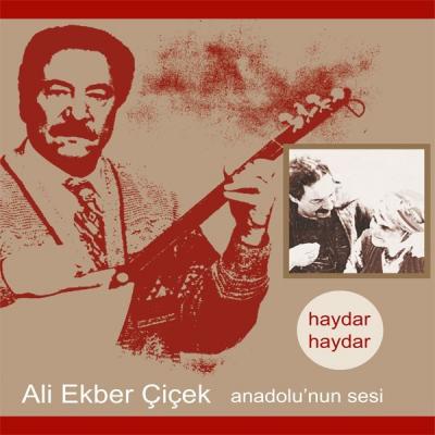 Anadolu'nun Sesi / Haydar Haydar (Plak)