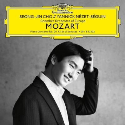 Mozart: Piano Concerto No. 20, K. 466 (2 Plak)