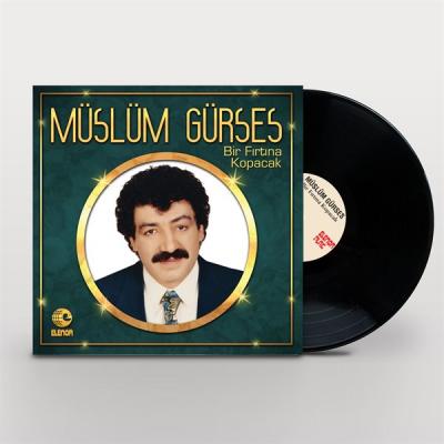 Bir Fırtına Kopacak (Plak)