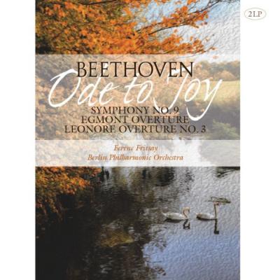 Beethoven: Ode To Joy Symphony No. 9 (2 Plak) Ludwig van Beethoven