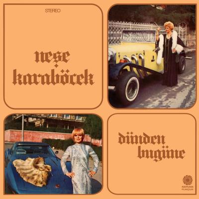 Dünden Bugüne (Plak)