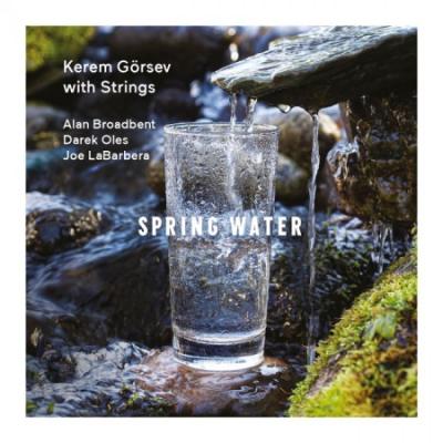Spring Water (Plak) %15 indirimli Kerem Görsev