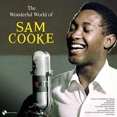 The Wonderful World Of Sam Cooke (Plak) Sam Cooke