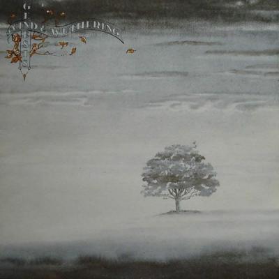Wind And Wuthering (Plak) Genesis