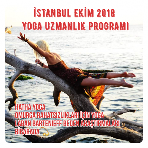 200 Saat Temel Yoga Uzmanlık Programı - İstanbul ve Eskişehir
