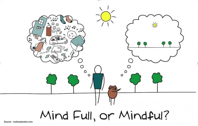 Mindfulness (Farkındalık) Workshopu