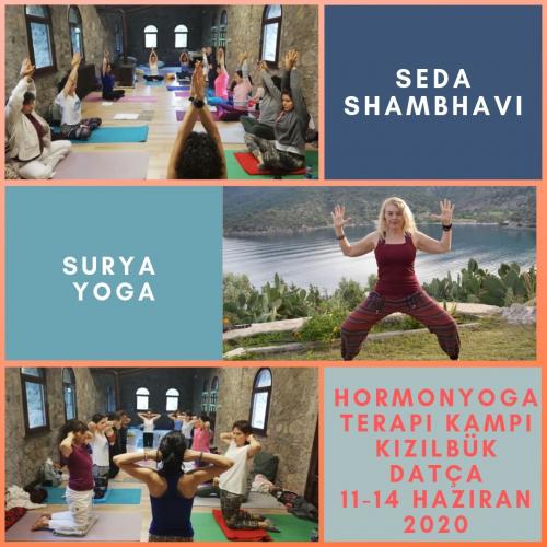 Hormon Yoga Uzmanlık Kampı 2. Seviye (Diabet)