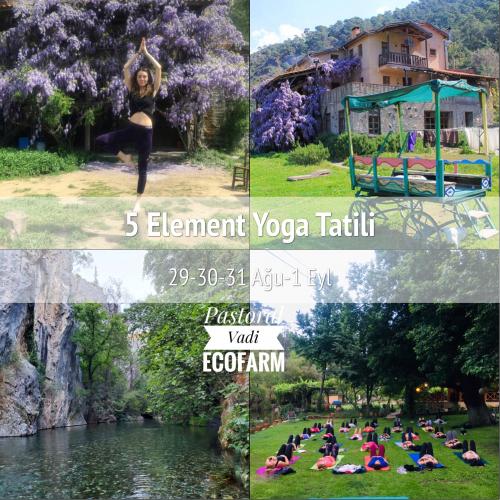 Pastoral Vadi Ecofarm 5 element Yoga tatili