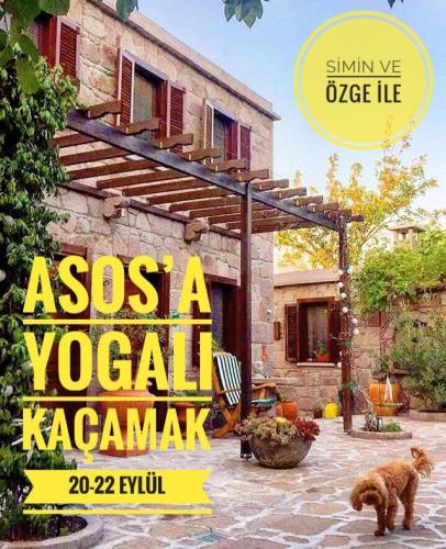 Asos'a Yogalı Kaçamak