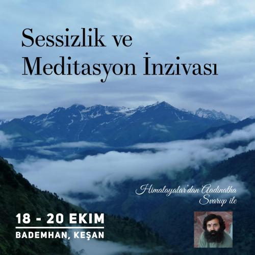 Sessizlik ve Meditasyon İnzivası: Aadinatha Svarup ile