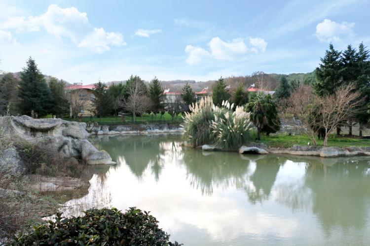 Yoga& Ötesi, Şile Kampı II