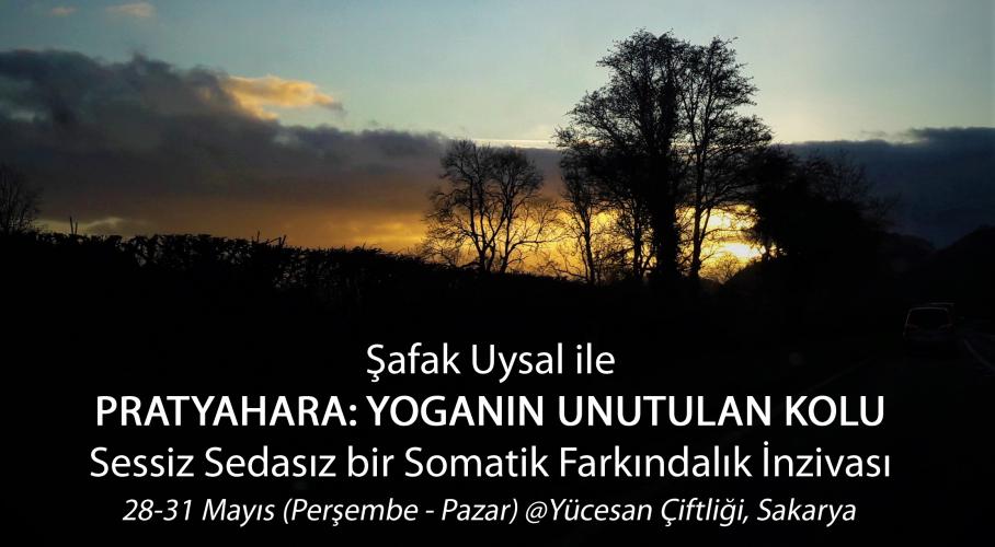 Pratyahara: Yoganın Unutulan Kolu - Sessiz Sedasız bir Somatik Farkındalık İnzivası