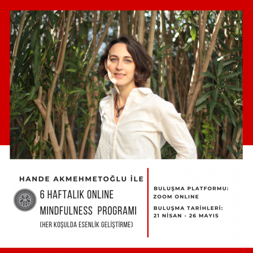 6 Hafta Online Mindfulness Programı / Hande Akmehmetoğlu