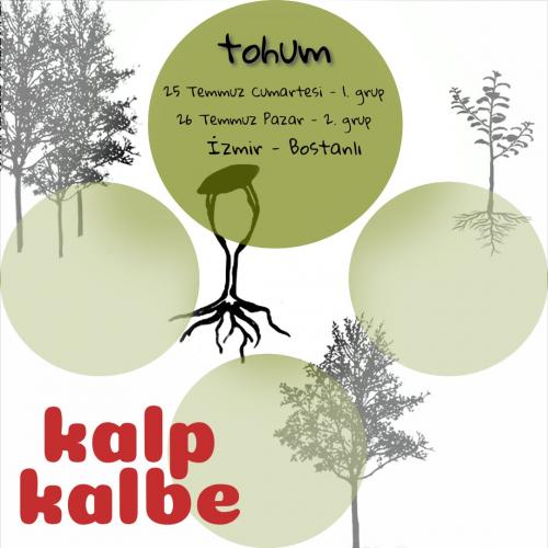 Kalp Kalbe - Tohum