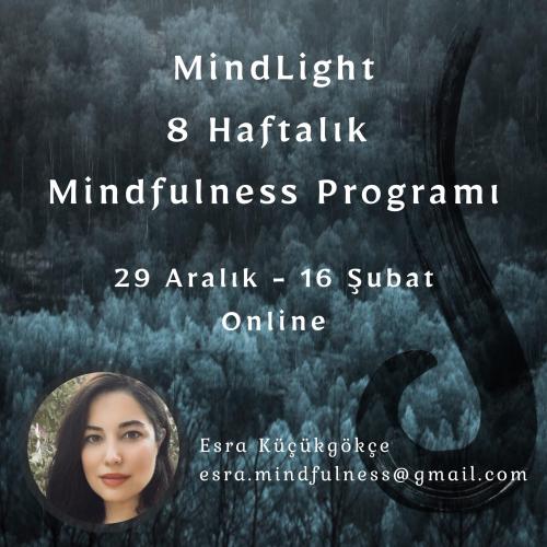 8 Haftalık Online Mindfulness Programı