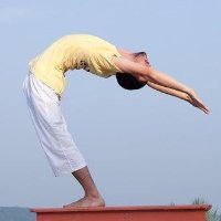 Hamsa ile Yoga'da Derinleşmeye Devam Kursu