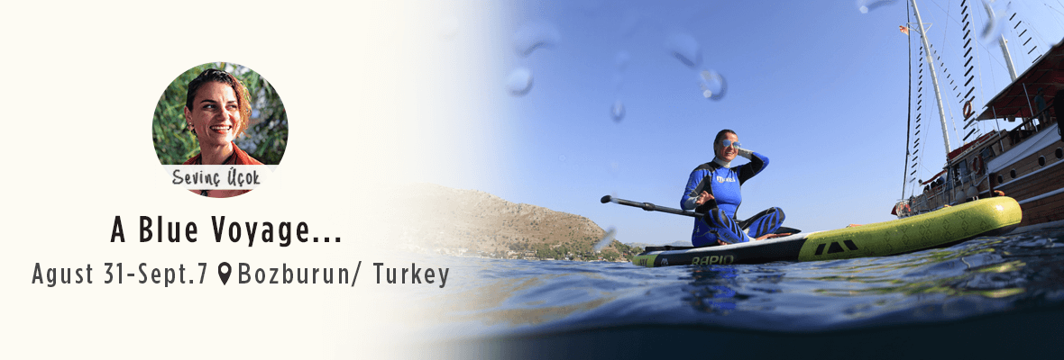 A Blue Voyage