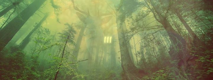 Ormanın Ruhu III - Şamanik Şifa Buluşması