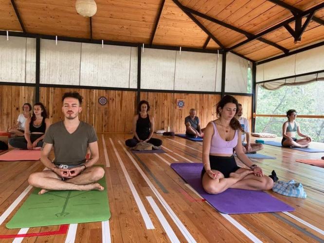Nadya Kaya ile Yeniden Yüz Yüze Hatha Yoga
