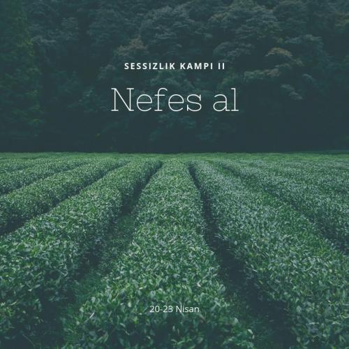 Sessizlik Kampı II