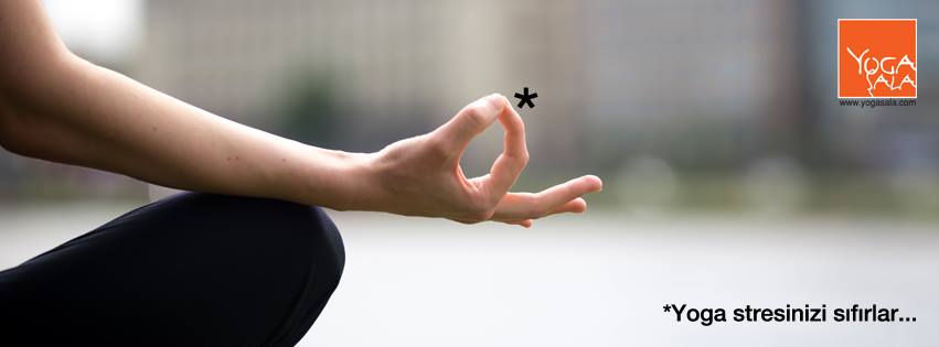 200 Saat Yoga Alliance Onaylı Yoga Programı Bilgilendirme Toplantısı