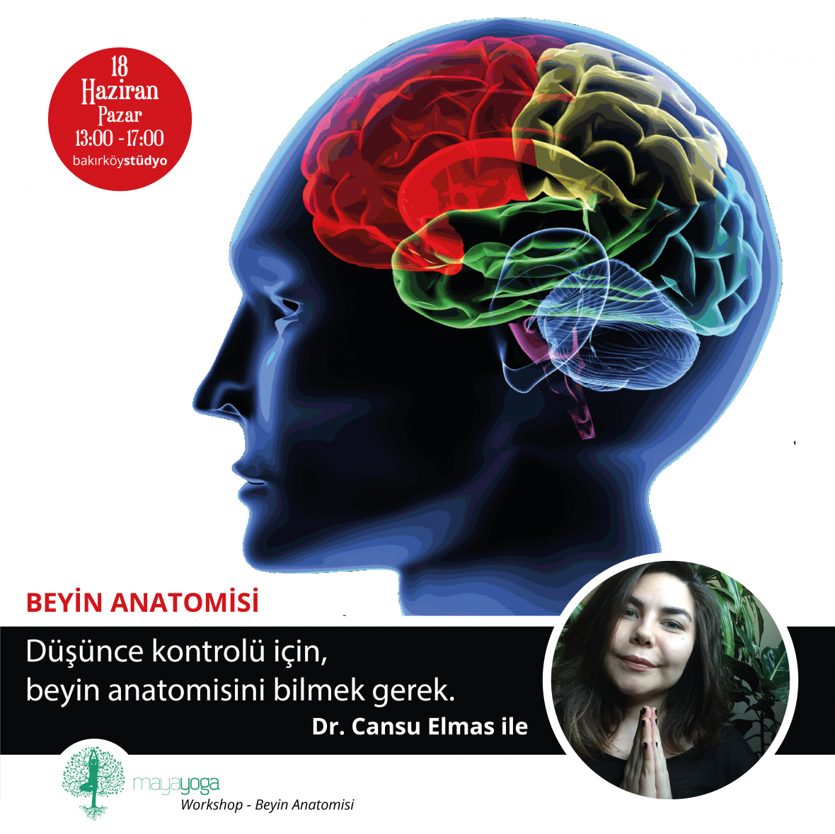 Dr. Cansu Elmas ile Beyin Anatomisi