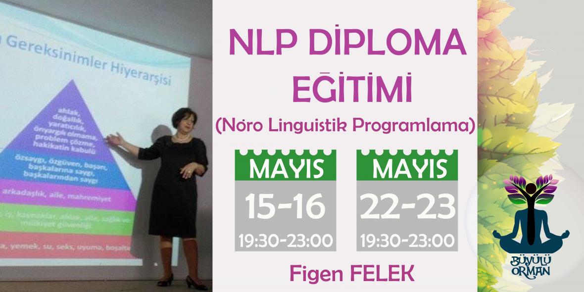 NLP Diploma Eğitimi ( Nöro Linguistik Programlama)