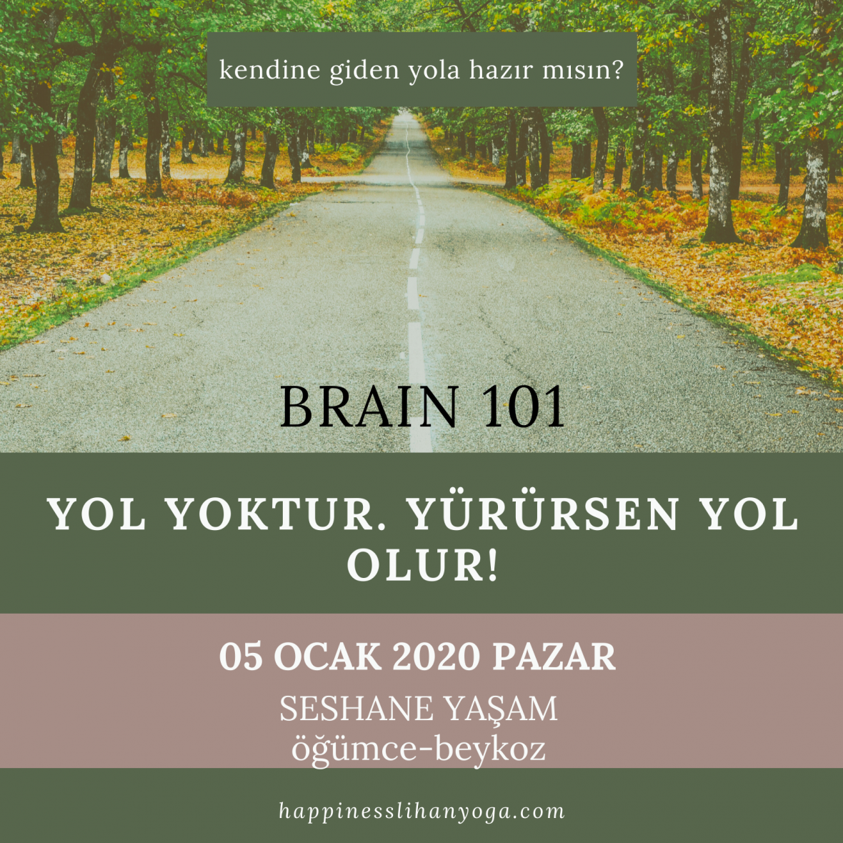 Brain 101