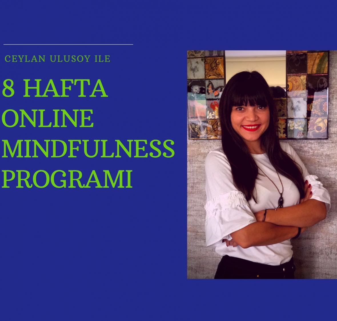 Online Mindfulness Hafta içi Grubu