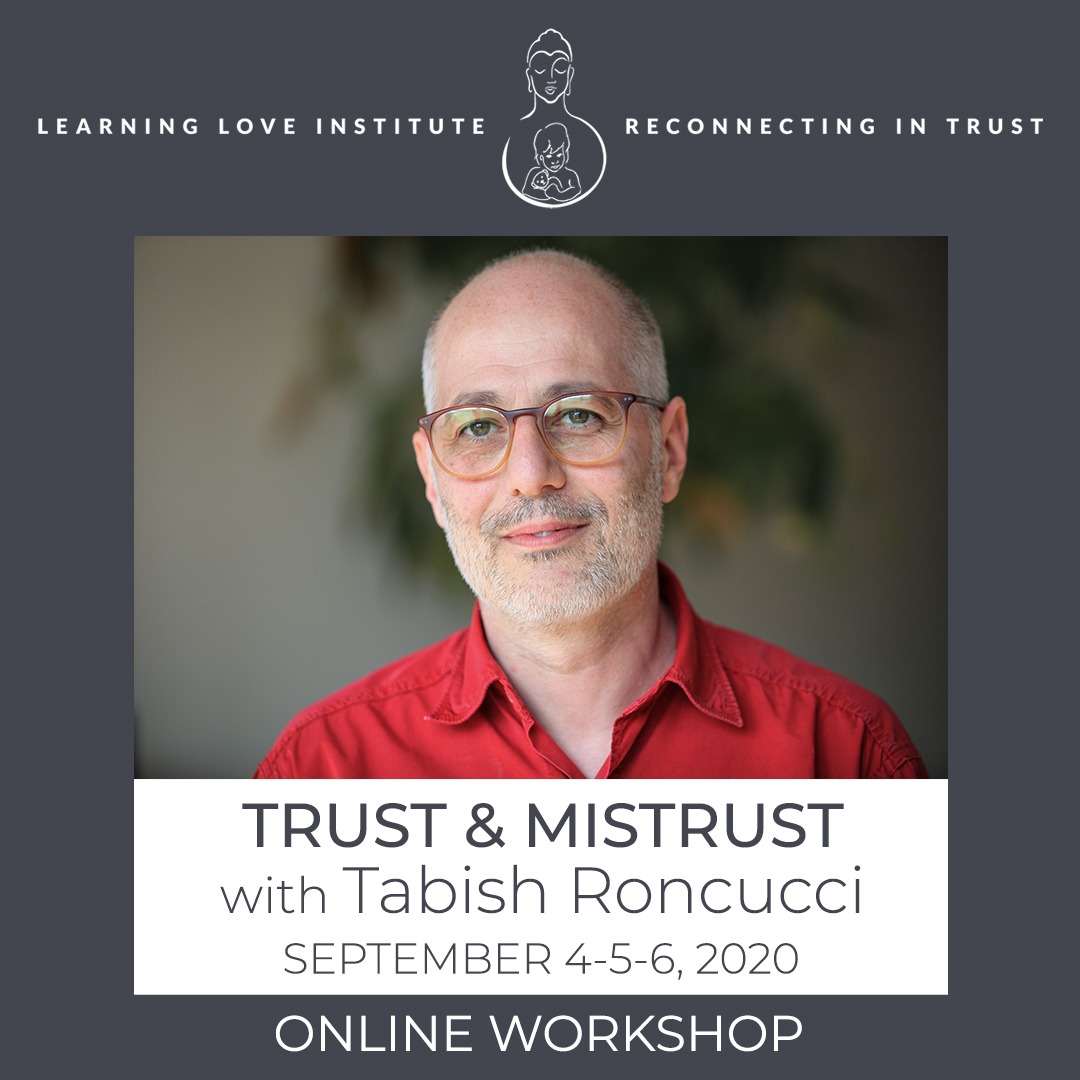 Trust & Mistrust Tabish Roncucci