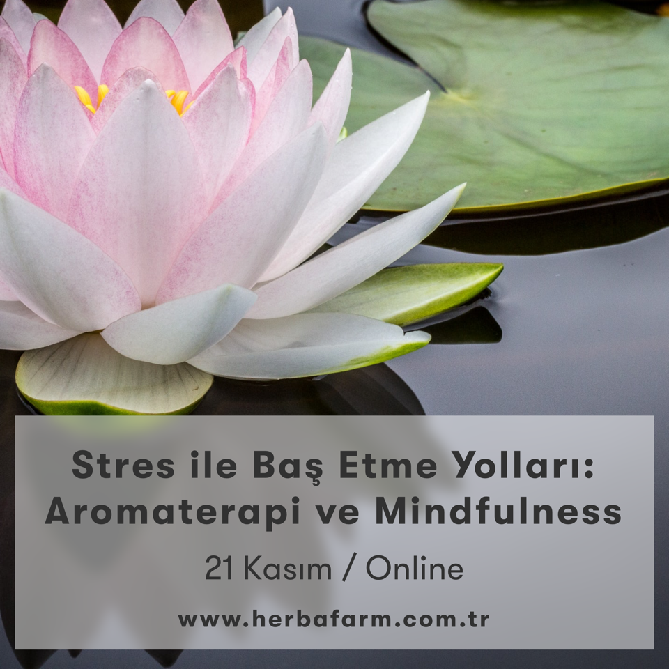 Aromaterapi ve Mindfulness