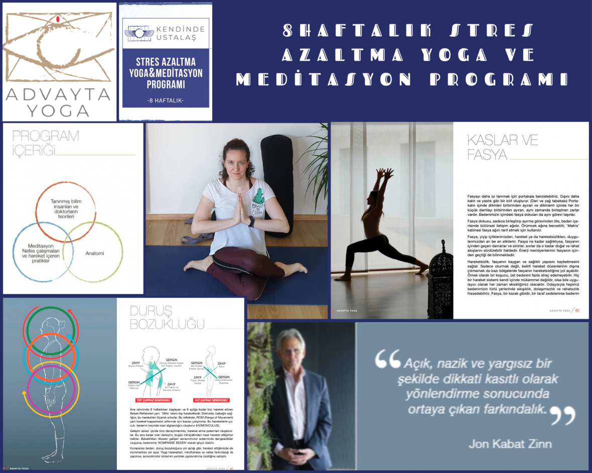 8 Haftalık Stres Azaltma Yoga ve Meditasyon Programı