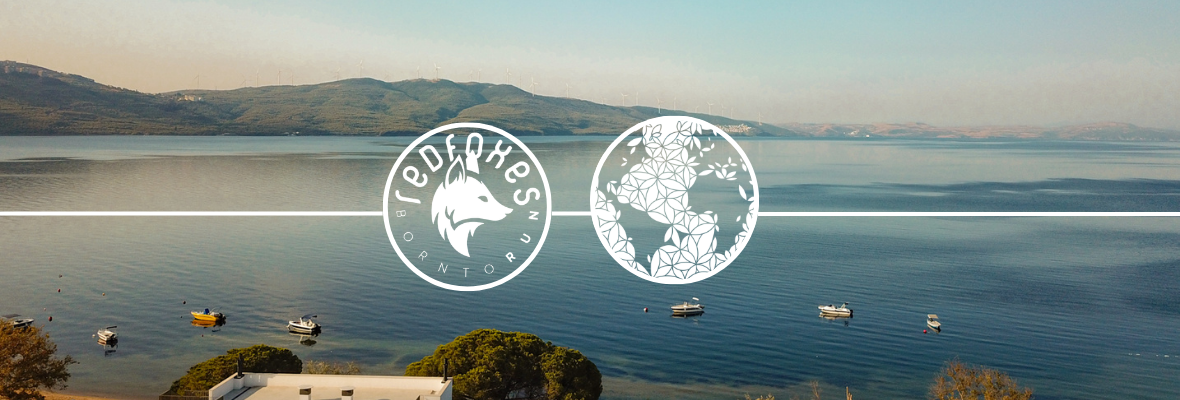 Redfoxes  x Auramind Spor & Wellness Kampı | Erdek