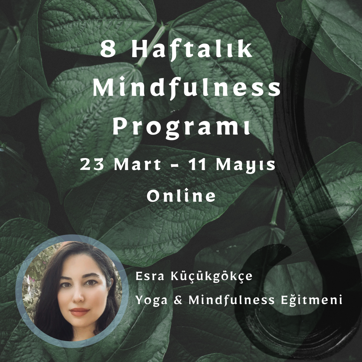 8 Haftalık Online Mindfulness Programı